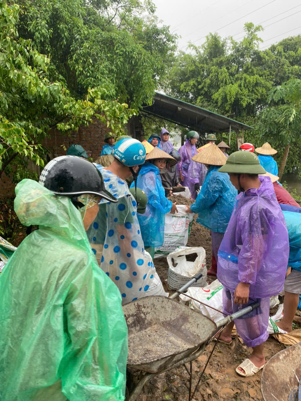 Hình ảnh hoạt động 4